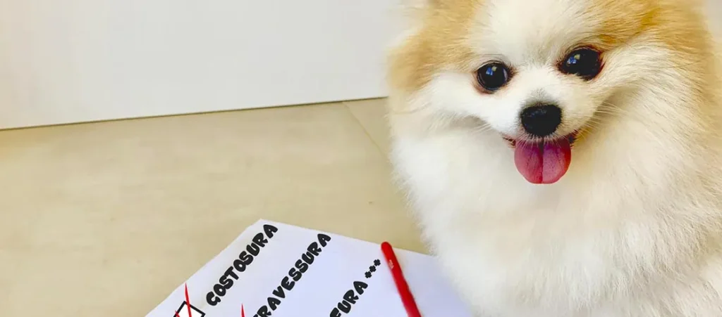 caracteristicas spitz alemão